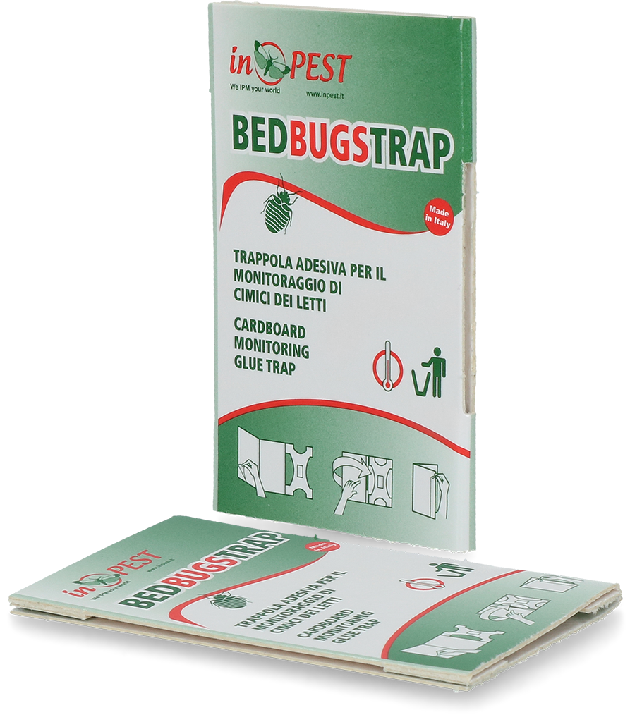 Bettwanzen Monitorfalle, Klebefalle, Hofman Pest Control, 16 x 8,5 cm, 10 Stk