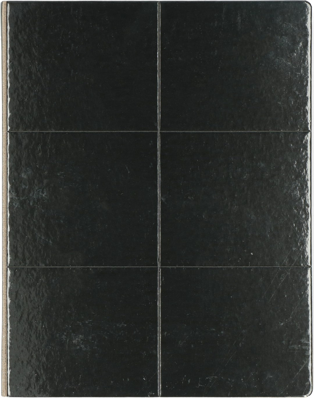Insekten Leimfalle, Hofman Pest Control, schwarz, 22 x 34 cm, 100 Stk