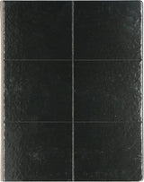 Insekten Leimfalle, Hofman Pest Control, schwarz, 22 x 34 cm, 100 Stk