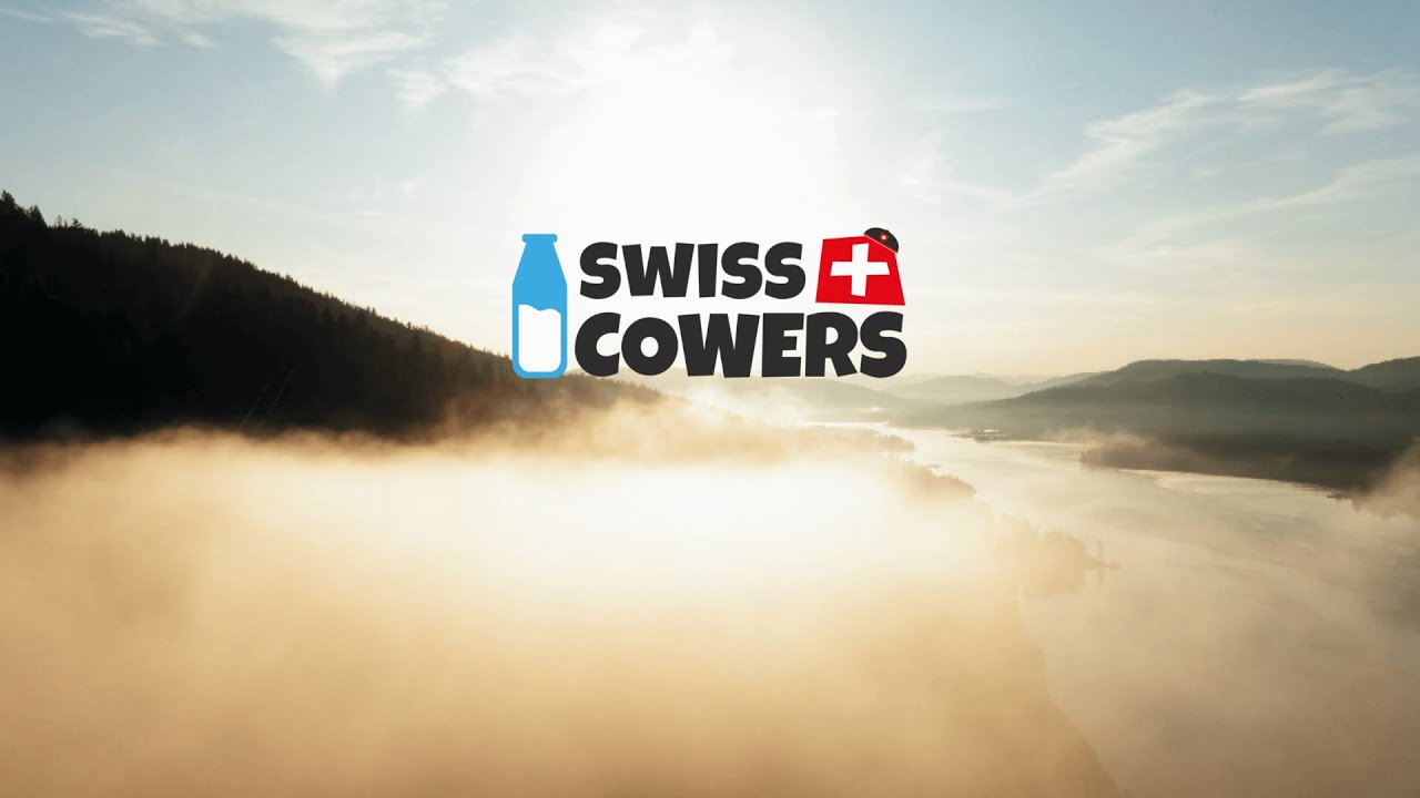 SwissCowers Käsesnacks für Hunde, Training, Energy Plus, mit Bio-Grüntee, Ø 1,5 cm, 30 Stk