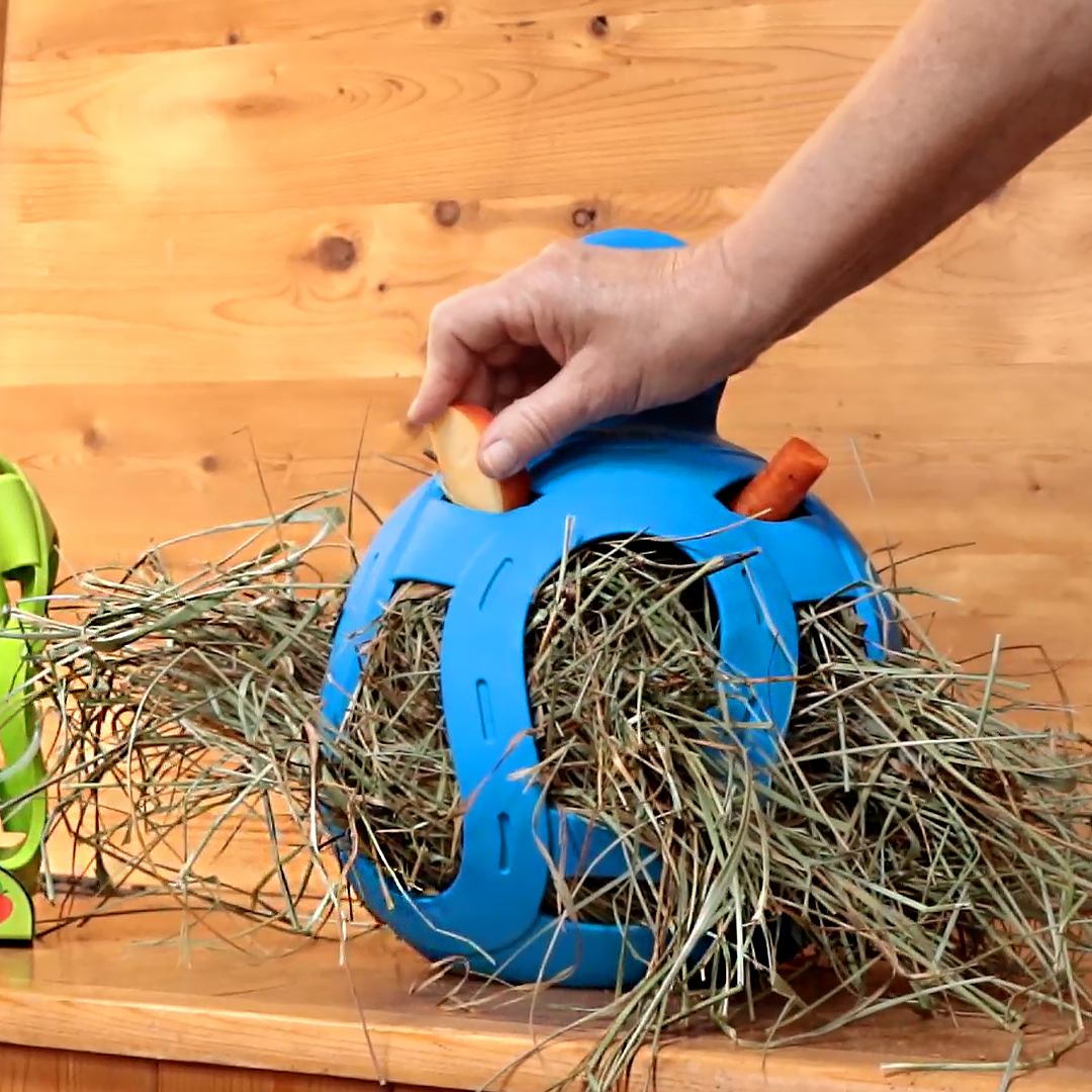 Jolly Pets Heuball, Gummi, blau, Ø 20 cm