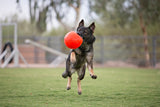 Jolly Pets Hundeball, Jollyflex, schwimmfähig, Vanilleduft, orange, Ø 15 cm