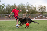 Jolly Pets Hundeball, Jollyflex, schwimmfähig, Vanilleduft, orange, Ø 15 cm