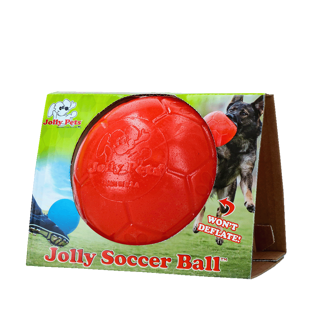 Jolly Pets Hundeball, Jollyflex, schwimmfähig, Vanilleduft, orange, Ø 15 cm