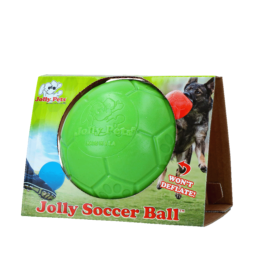 Jolly Pets Hundeball, Grün, Jollyflex, schwimmfähig, Duft Apfel, Ø 15 cm