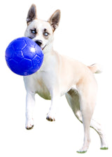 Jolly Pets Hundeball, Jollyflex, schwimmfähig, hellblau, Ø 15 cm