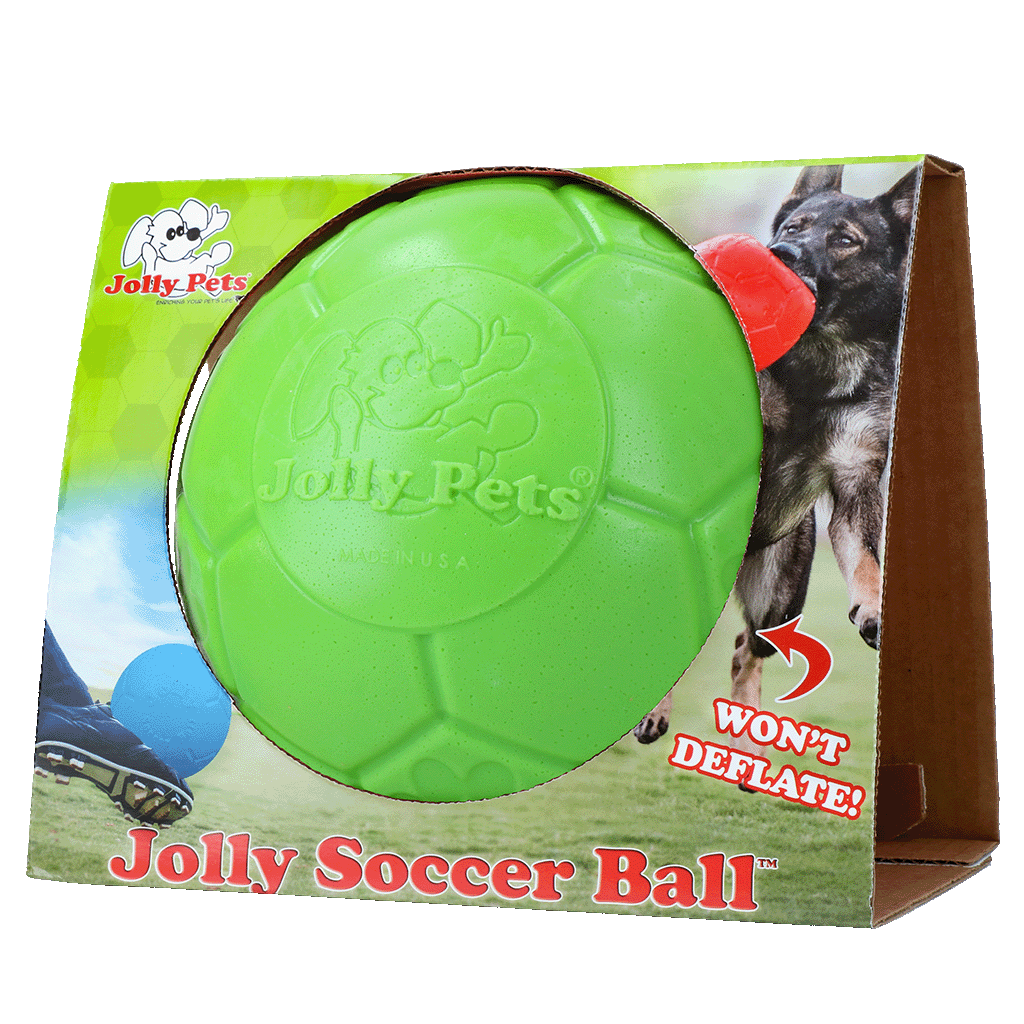 Jolly Pets Hundeball, Jollyflex, grün, Ø 20 cm, Apfelduft