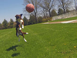 Jolly Pets Hundeball, Softball, Vanilleduft, rot, Ø 15 cm