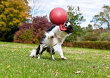 Jolly Tug-n-Toss Hundespielball, Blau, Ø 15 cm