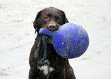 Jolly Tug-n-Toss Hundespielball, Blau, Ø 15 cm