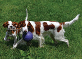 Jolly Pets Hundespielzeug Romp-n-Roll, Blau, Größe S, Ø 11 cm