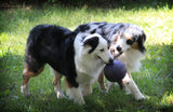 Jolly Pets Hundespielzeug Romp-n-Roll, Blau, Größe S, Ø 11 cm