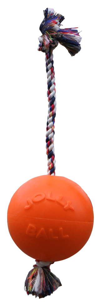 Jolly Pets Hundespielzeug Romp-n-Roll, Vanille, Ø 15 cm