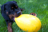 Jolly Pets Hundespielzeug, Ei, violett, 30 cm