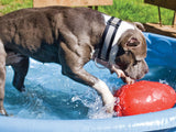 Jolly Pets Hundespielzeug, Ei, violett, 30 cm