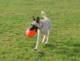 Jolly Pets Hundespielzeug Ball, Vanilleduft, schwimmfähig, Ø 15 cm