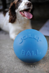 Jolly Pets Hundeball, robust, schwimmfähig, Heidelbeere, Ø 20 cm