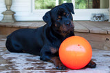 Jolly Pets Hundespielzeug, Ball, Vanille, Ø 20 cm