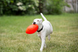 Jolly Pets Hundespielzeug Football, Vanille, 20 cm