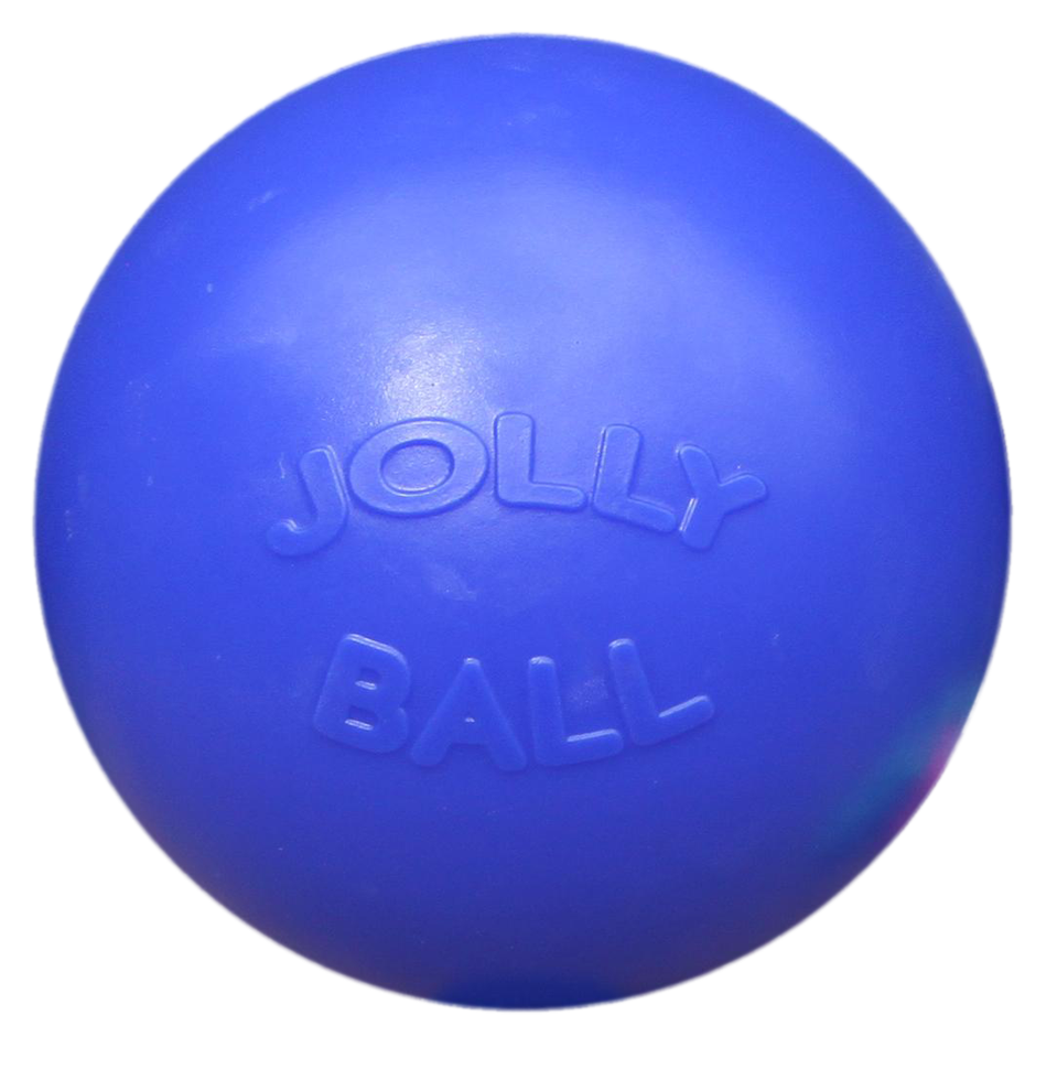 Jolly Pets Hundespielzeug Push-n-Play Ball, Polyethylen, Blau, Ø 25 cm