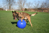 Jolly Pets Hundespielzeug Push-n-Play Ball, Polyethylen, Blau, Ø 25 cm