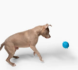 Jolly Pets Hundespielzeug Dipper S, TPE, 7,6 cm