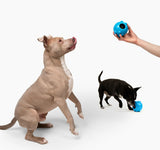 Jolly Pets Hundespielzeug Dipper S, TPE, 7,6 cm