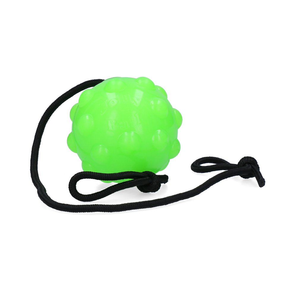 Jolly Pets Hundespielzeug Tree Tugger, höhenverstellbar, für den Garten