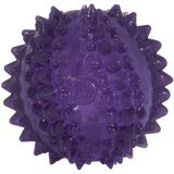 JW Puppy Cactus Ball, Zahnungsspielzeug, befüllbar, Ø 6,5 cm