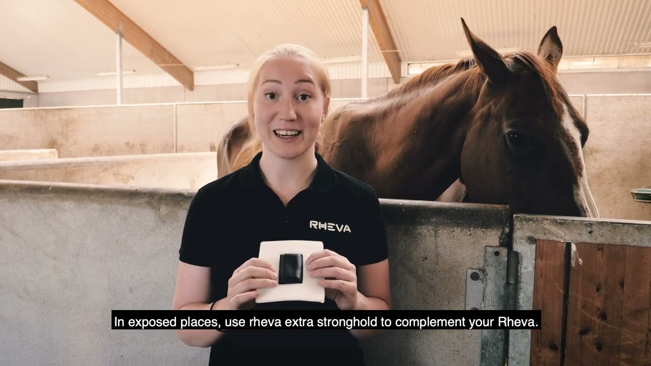 Rheva Wundschutz, extra stark, für Kombo-Putz, Tiere