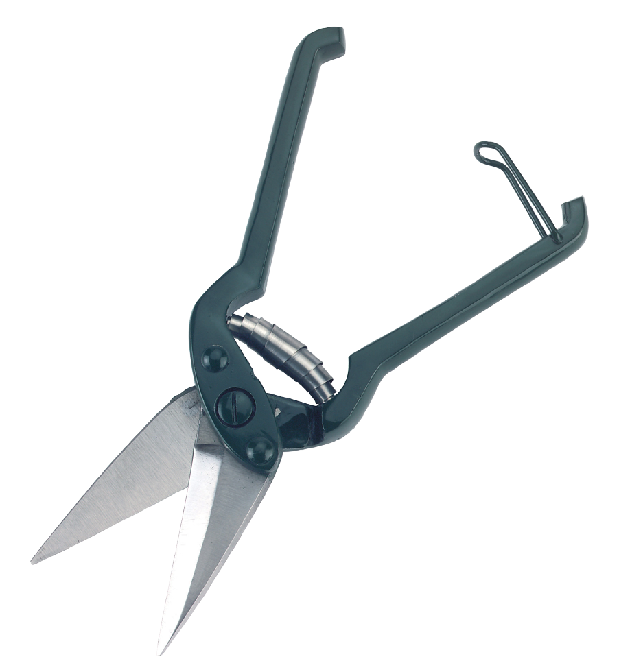 Klauenschere, Standard Modell, Schaf, 26 cm