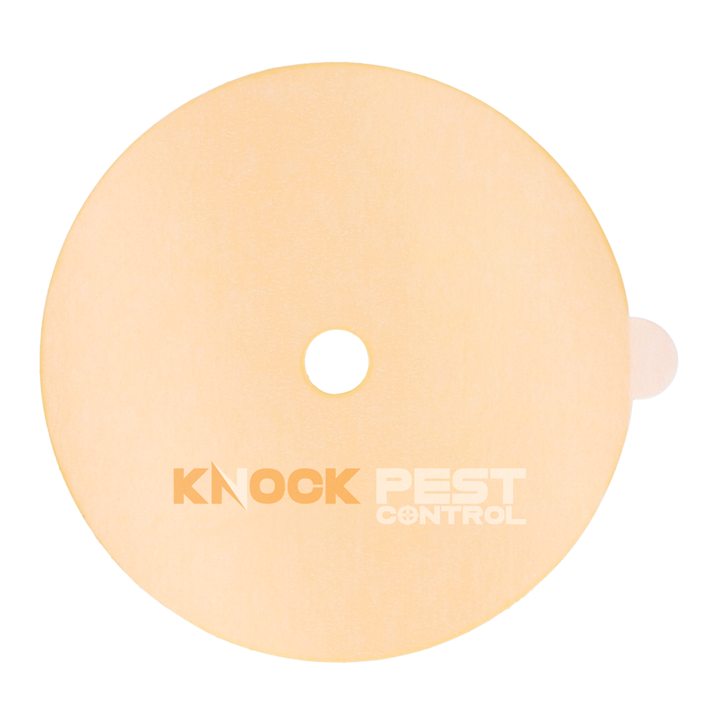 Knock Pest Klebeplatte für Insektenfalle KNOC00024, ungiftig, Ø 13,5 cm, 2 Stk