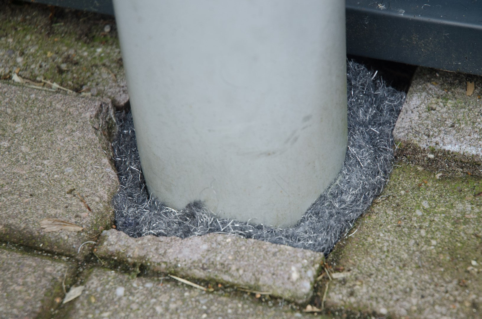 Knock Pest Abwehrband, Ratte, Maus, 5 m