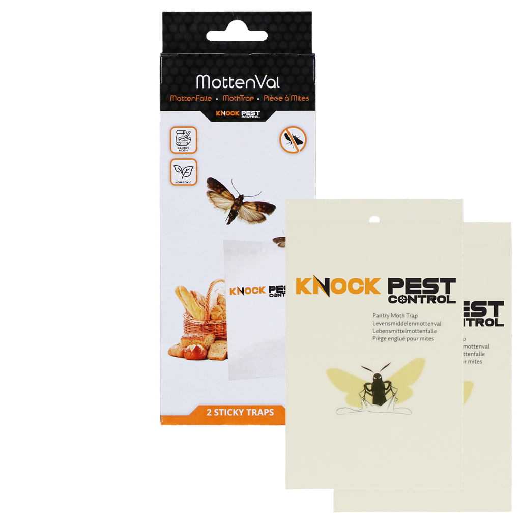 Knock Pest Lebensmittelmottenfalle, flach, 13 x 8 cm, 2 Stk