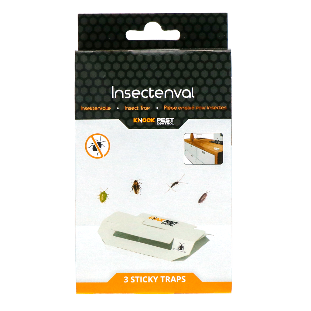 Knock Pest Insektenfalle, klein, giftfrei, 3 Stk