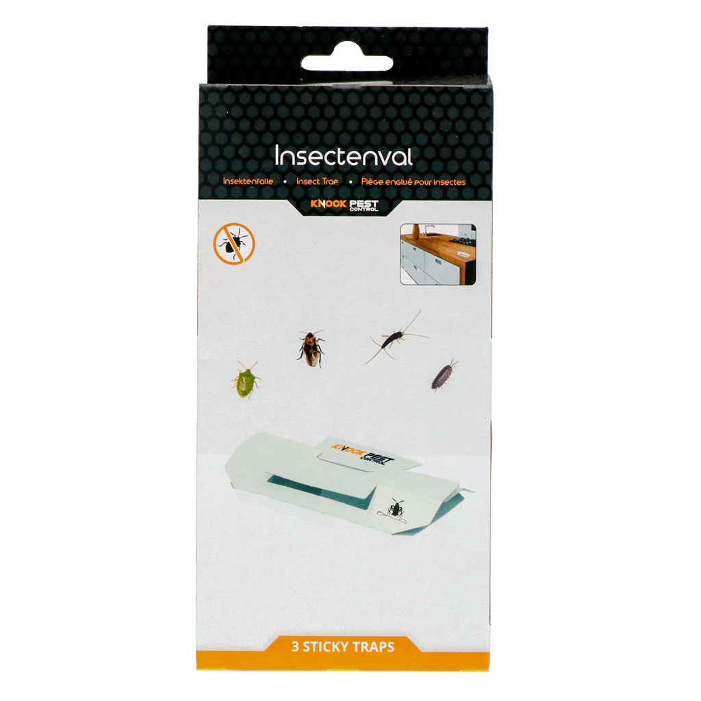 Knock Pest Insektenfalle, groß, Lockstoff, giftfrei, 20,5 x 10 x 2,5 cm, 3 Stk