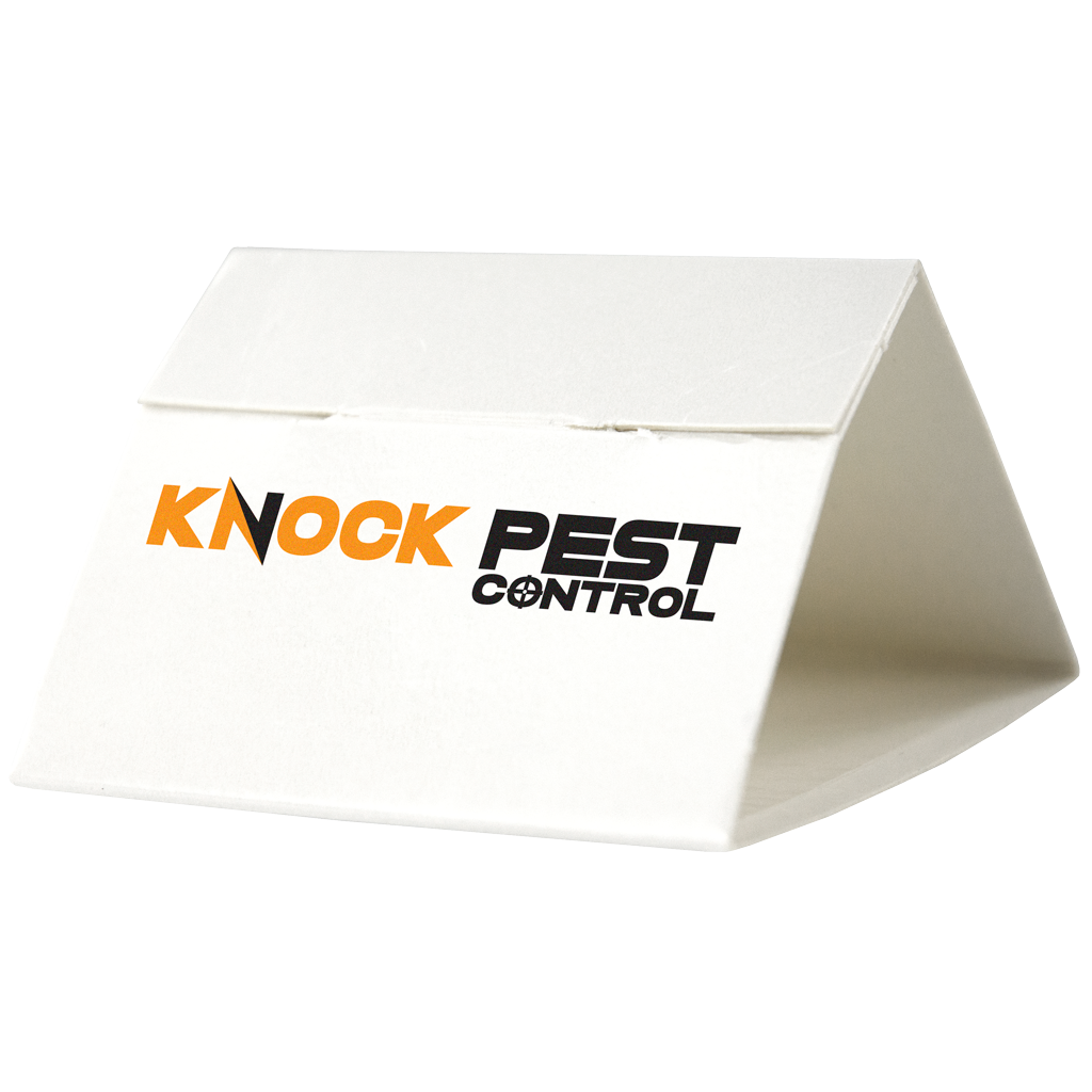Knock Pest Silberfischchenfalle Delta, ungiftig, 7,5 x 6,5 x 4,5 cm, 3 Stk