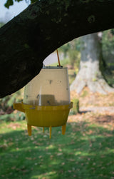 Knock Pest Wespenfalle, inkl. 250 ml Lockstoff, Ø 16,5 cm x 22,5 cm
