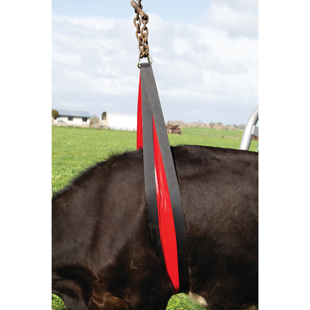 Kuhhebe Bauchgurt Vorderseite, 2,4 m, 20 cm breit, Belly strap
