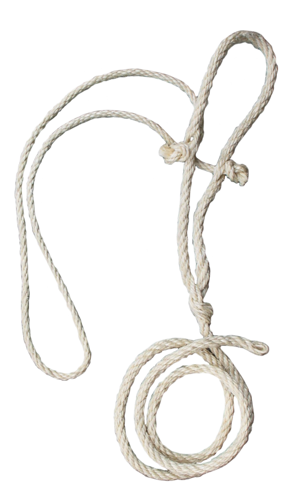 Kuhhalfterstrick, Sisalseil, dünner Kopfstrick, 200 cm, Ø 10 mm