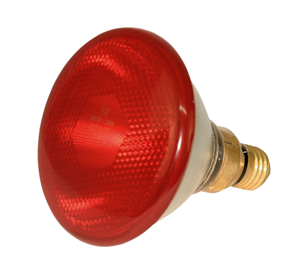 Sparlampe, 100 W, weiß