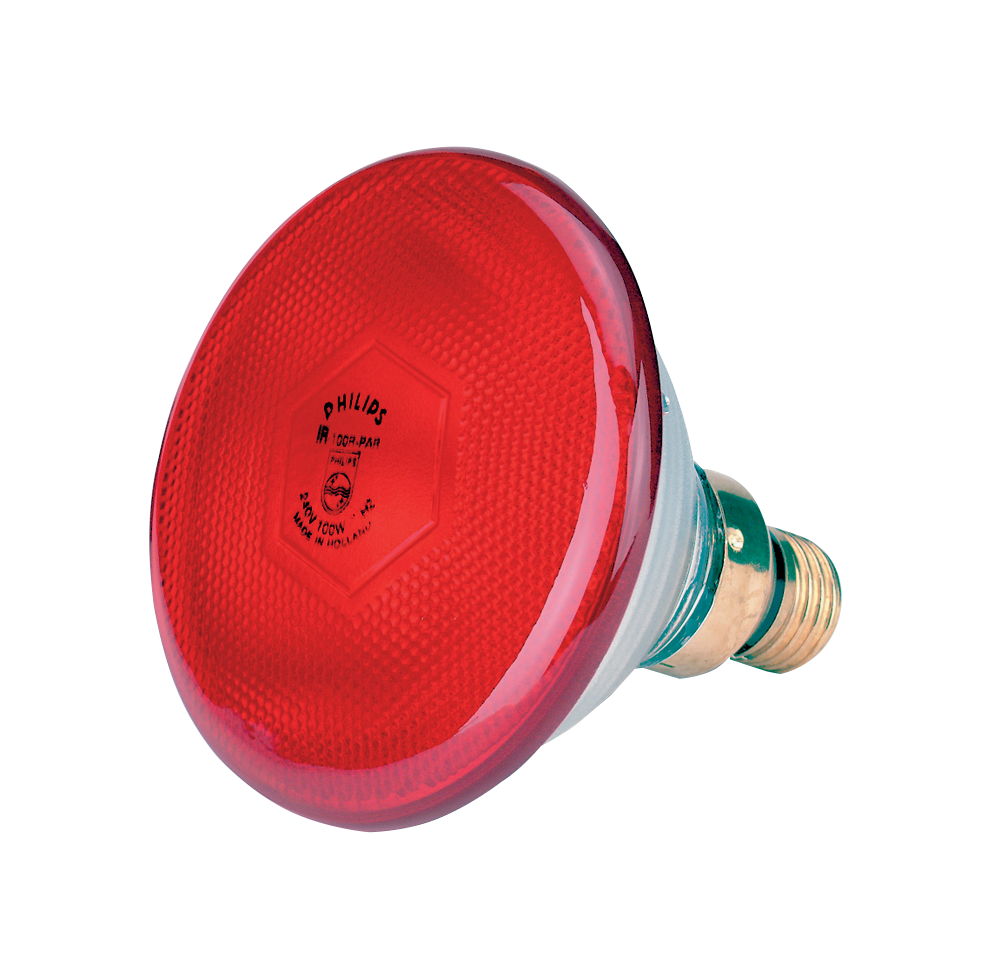 Sparlampe, 100 W, Rot
