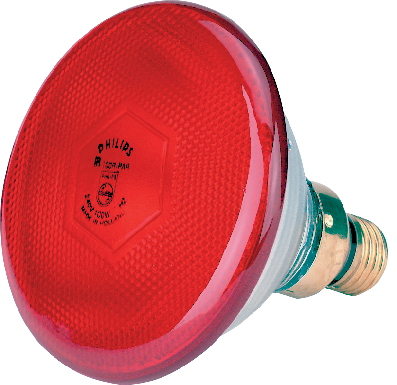 Sparlampe, 175 W, Rot