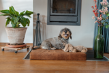 Let's Sleep Hundebett, orthopädisch, XL, 125 x 90 x 10 cm, Taupe