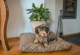 Let's Sleep Hundebett, Plush Pillow, M, 80 x 55 x 10 cm, Taupe