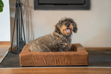 Let's Sleep Hundekorb, Comfy Cushion, XL, 100 x 85 x 15 cm, Anthrazit