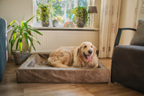 Let's Sleep Hundekorb, Comfy Cushion, M, 60 x 50 x 12 cm, Anthrazit