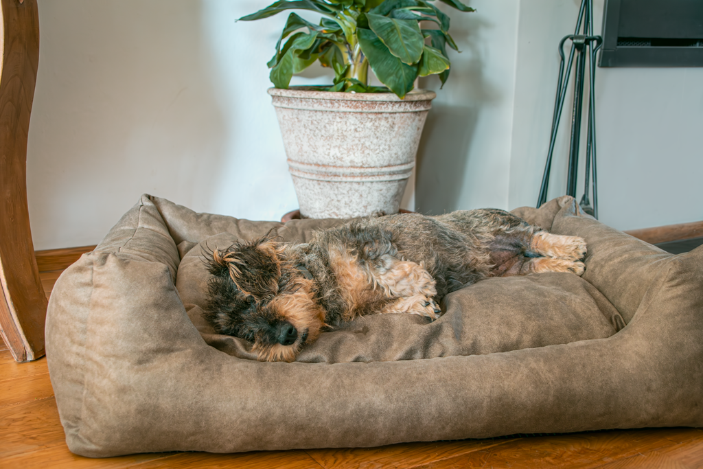 Let's Sleep Hundekorb mit Kissen, Größe L, taupe