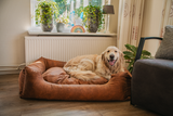 Let's Sleep Hundekorb mit Kissen, XL, 117 x 82 cm, Anthrazit