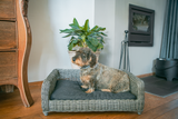 Let's Sleep Hundekorb Weide, Kissen, L, 95 x 68 x 28 cm, Anthrazit